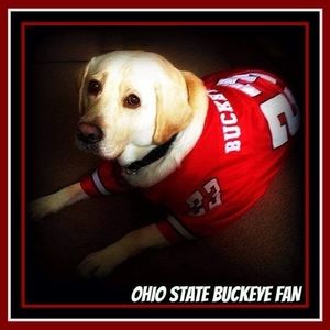 Meet your Posher, Jim